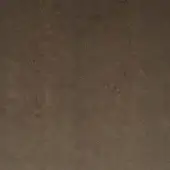 24203023 - NOCCIOLA